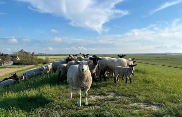 Ferienhaus Kiebitz - Foto 38
