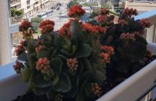 My Home Apartments - Foto 58