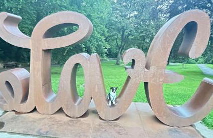 Ferienhaus Am Trollmönch - Photo 42