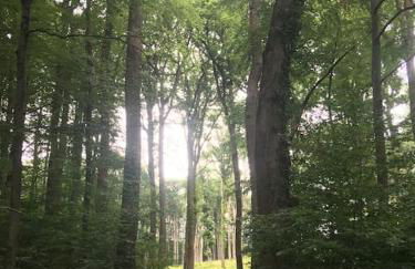 Villa bella Diamante - Foto 33