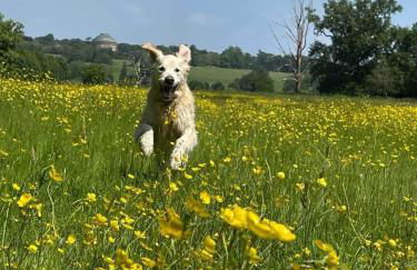 The Cartlodge - Studio Loft Apartment in Horringer, Bury St Edmunds - Foto 24