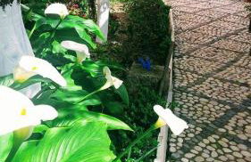 Katerina's apartments - Foto 4