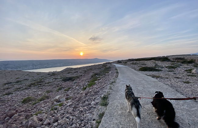 Comfy Little Couple Apartment a3 - Foto 14