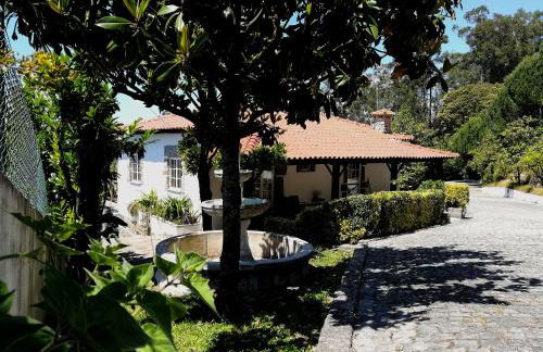 Quinta de S. Vicente 317 - Foto 45