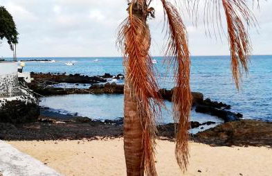 Sunrise Casita del Mar - Foto 29