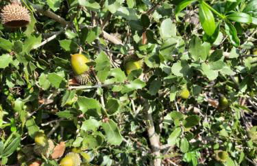 GAUDIR LA MAR - Casa en Tossal Gros La Font d'en Carros - Foto 41