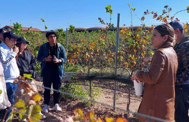 Aguascalientes Private Winery Tour - Foto 1