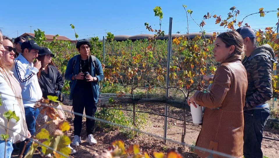 Aguascalientes Private Winery Tour - Foto 1