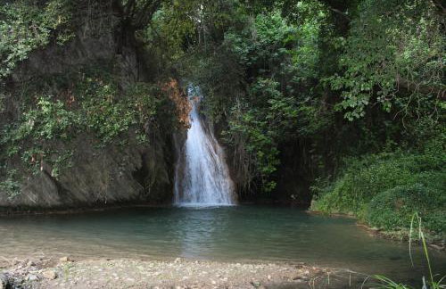 Stamna Farm - Foto 27