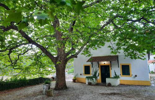 Montejunto Villas - Casa do Plátano - Foto 61