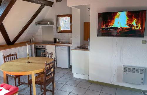 La Maison Bleue - Historic House in the Heart of Riquewihr - Foto 77