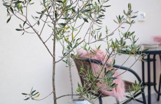 House Toni 1102 - Foto 50