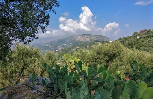 Gli Ulivi Agriturismo - Foto 28