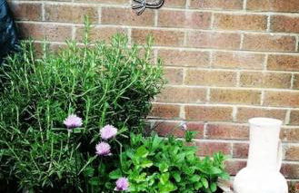 Garden Apartment Morpeth- with lockable bike storage! - Foto 29