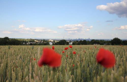 Großzügiges Architektenhaus in Kronberg - Foto 11