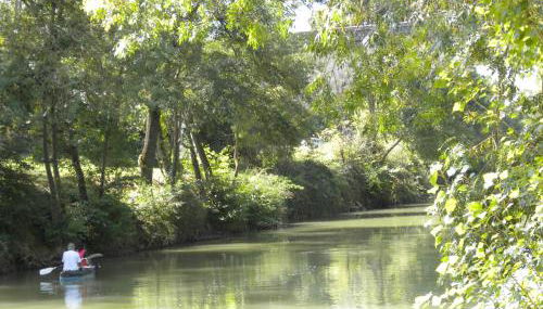 Maison de Vacances de Récailleau - Foto 4
