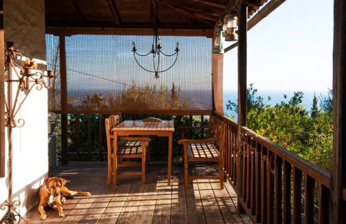 Studios Kyparissi & Spa - Photo 31