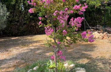 El Refujio maison independante avec vraie piscine privée au sel chauffee pas de chlore - Photo 10