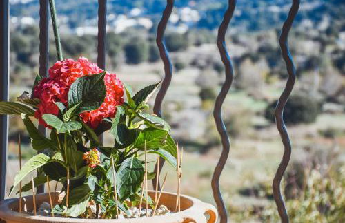 Athivoli Elegant Apartments - Foto 33