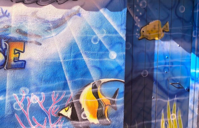 Casa Caribe - Foto 30