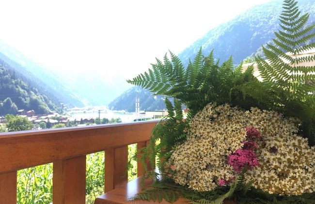 Zeren Pansiyon - Photo 32