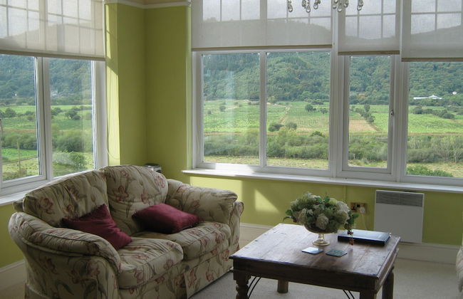 Plas Maenan Country House - Foto 28