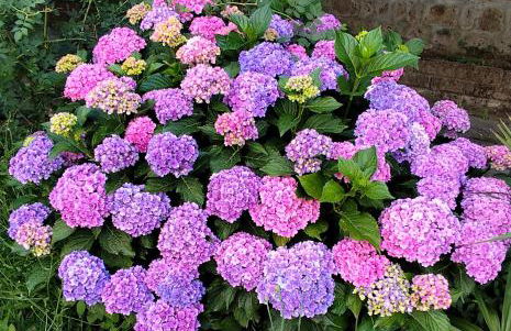 La casina di Karol - Foto 15