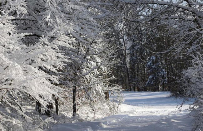 Ferienhaus in Obernburg am Edersee - Foto 26