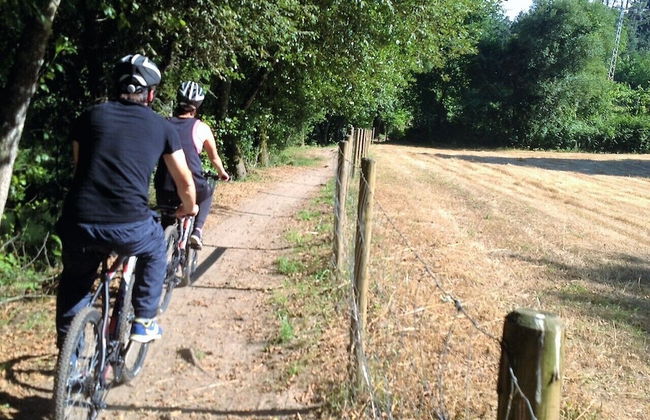 Treehouse Quinta Lamosa - Foto 18