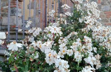 Appartamento Olivella - Foto 7