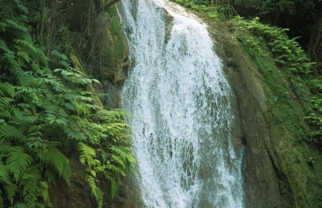 El Pueblito - Foto 40