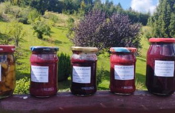 Górska Polana, Stronie Śląskie - Młynowiec - Foto 40