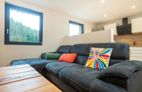 Gîte pour 4 personnes - Le Grand Valtin, à 2 pas de Xonrupt - Foto 8