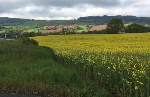 Kipsenblick - Foto 1