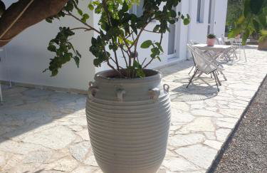 Oasis Studios AG PANTES - Photo 39