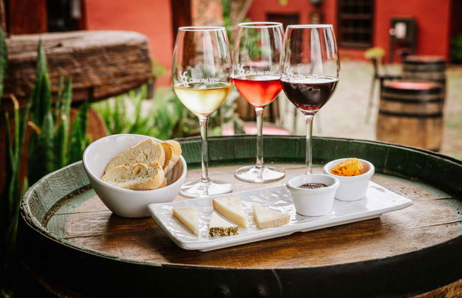 Degustación en la Casa del Vino - Foto 6