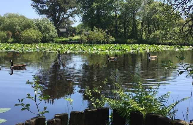 Trecombe Lakes - Foto 36