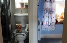 Fantastic sea views at Century's old Alma's Cottage - Sleeps up to 8 guests - Foto 44