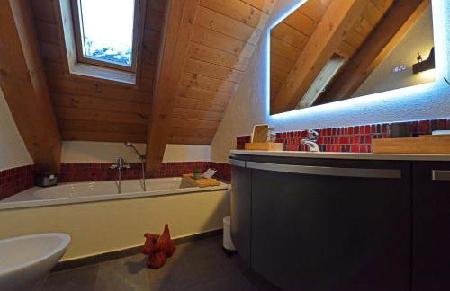 L'Ame du Mont Blanc - Foto 17