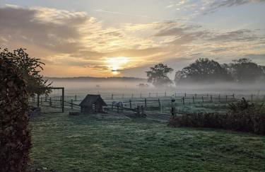 Ferien-und Bauernhof Gauster - Foto 25