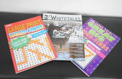 Arctic 415 - Foto 11