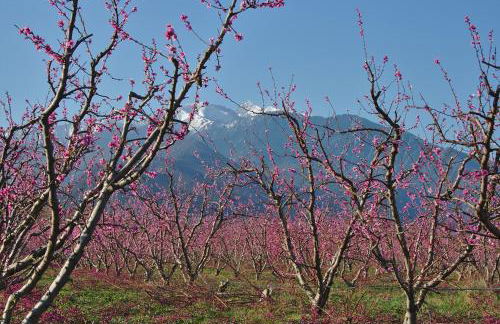 Les loges de la suite - Foto 17