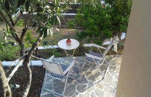 Granatapfel - Foto 8