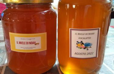 Granny's House - Foto 20