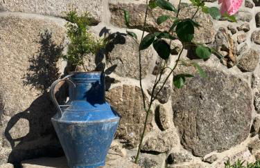 Casa das Japoneiras - Foto 30