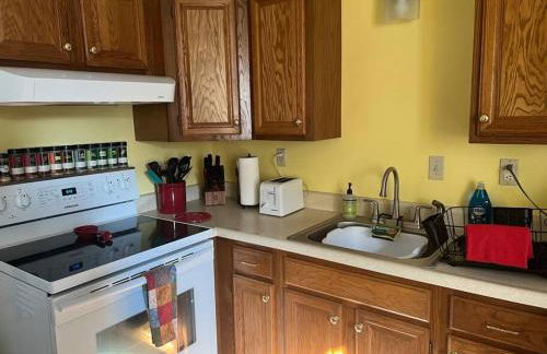 Falls Farmstead 1865 Ellis House Cozy and Comfy Apt #1 - Foto 19