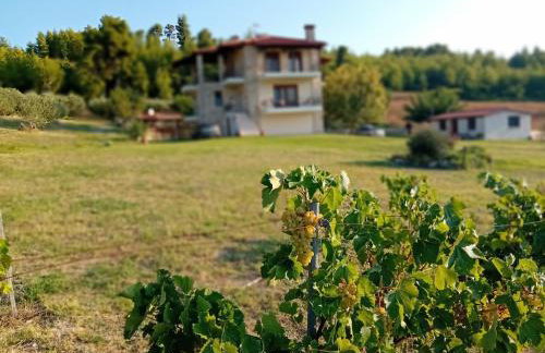 Κτήμα Verde - Foto 48