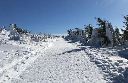 Fewo-Michi - Foto 16