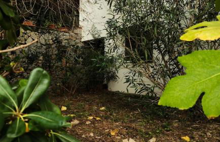 Ampio bilocale a Marina Di Campo - VILLAGGIO LA SERRA - Foto 41