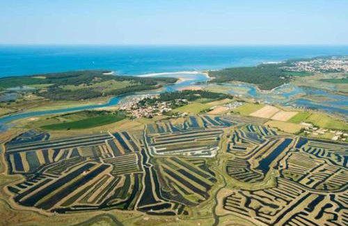 "COCON SAINT HILAIRE" Maison de charme 7 personnes, jardin clos, 5 min plage, port, commerces - Foto 27